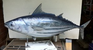 John West tuna side 